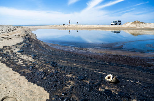 The History and Impact of California Oil Spills