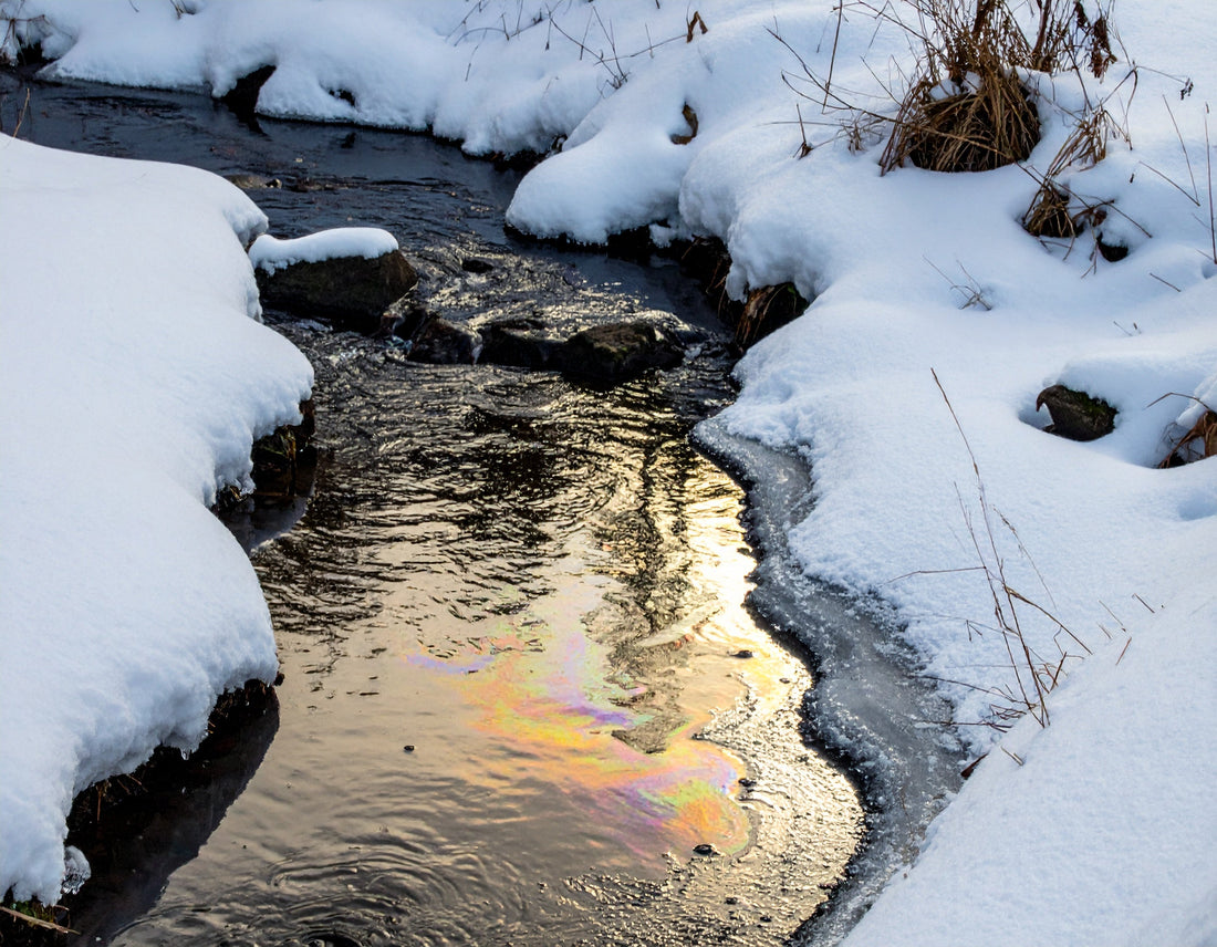 EPA Fines Fuel Carrier After 1,680-Gallon Biodiesel Spill Contaminates Maine Waterways