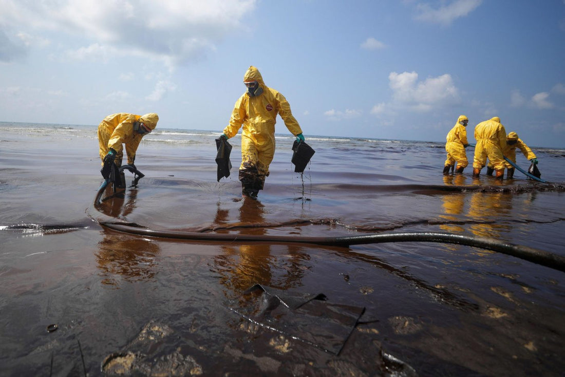Thailand's Major Oil Spills: A Recurring Environmental Catastrophe