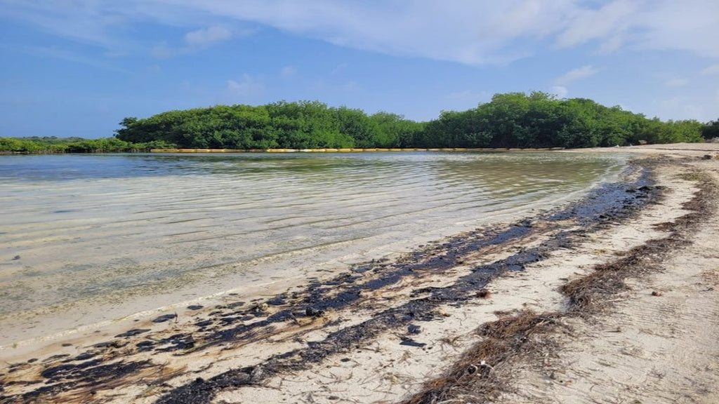 Oil Spill Posing Major Threat to Humans and Nature in Bonaire