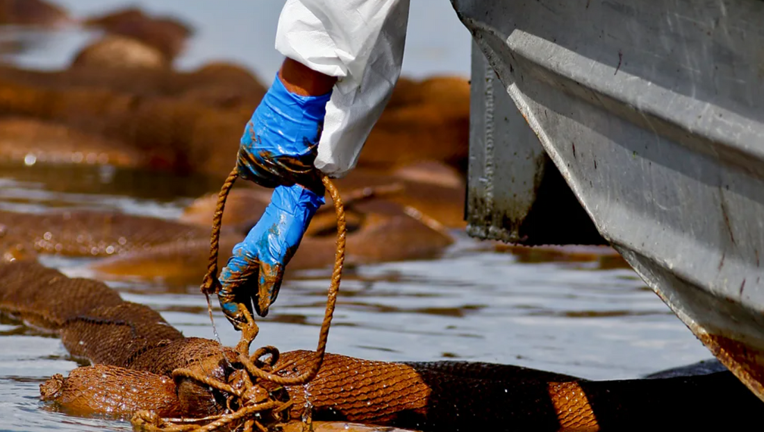 The Biggest Oil Spill in US History: What We've Learned Since Deepwater Horizon