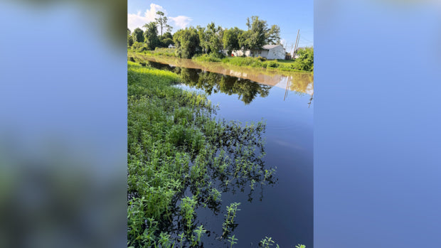Southern Louisiana Oil Spill: Over 34,000 Gallons of Crude Oil Leaked in Bayou Lafourche