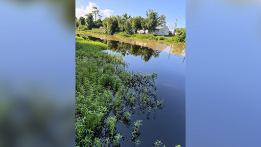 Southern Louisiana Oil Spill: Over 34,000 Gallons of Crude Oil Leaked in Bayou Lafourche