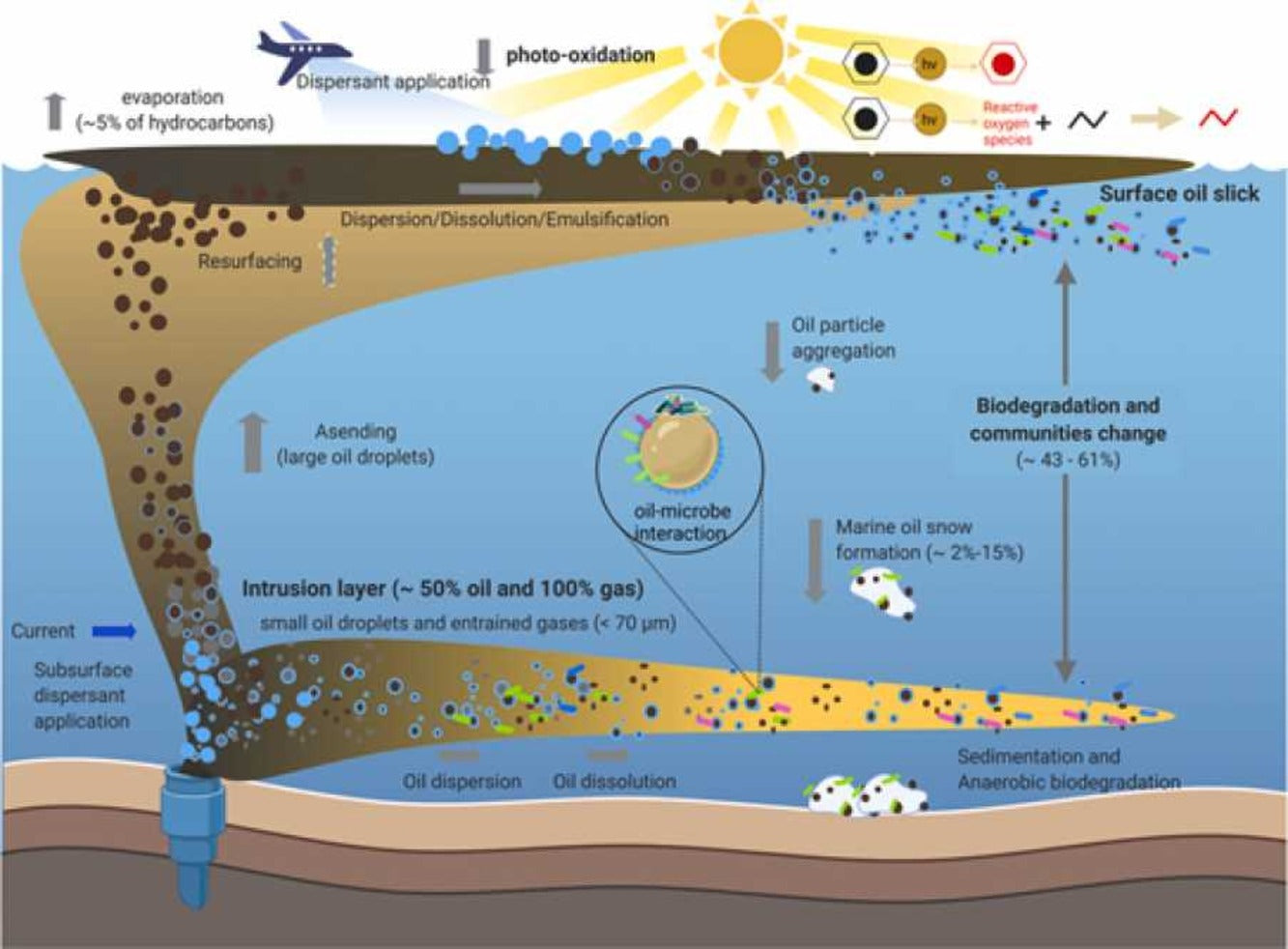 Oil Spill Remediation: Research Confirms Effectiveness of Oil Dispersants