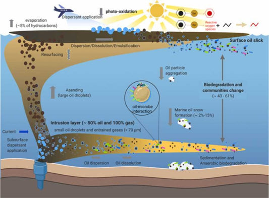 Oil Spill Remediation: Research Confirms Effectiveness of Oil Dispersants