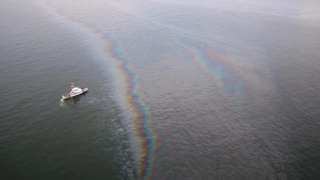 The Oil Spill That Refused to Die: The Full Story of the Taylor Energy Disaster